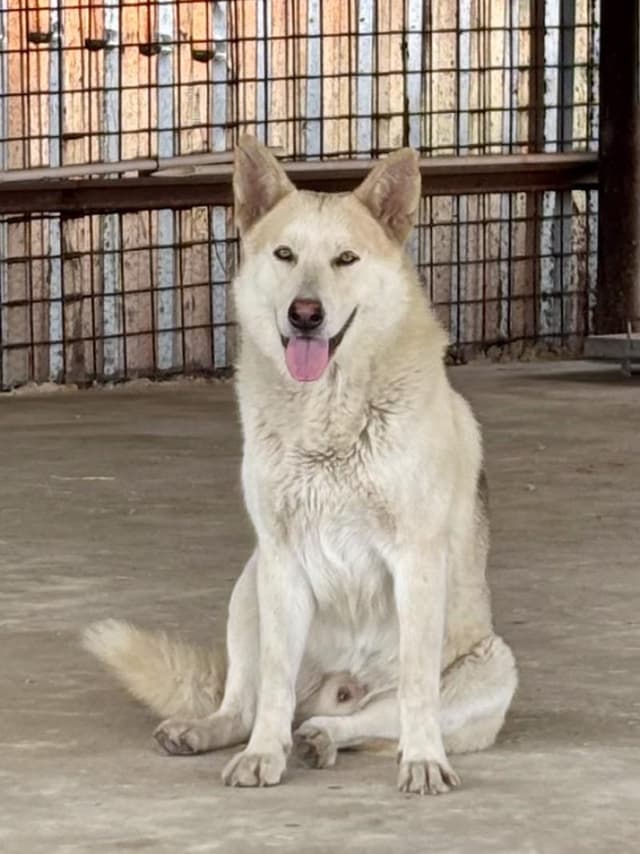 Titan The Toasted Marshmallow media 5