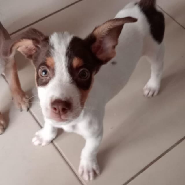 Coco media 2