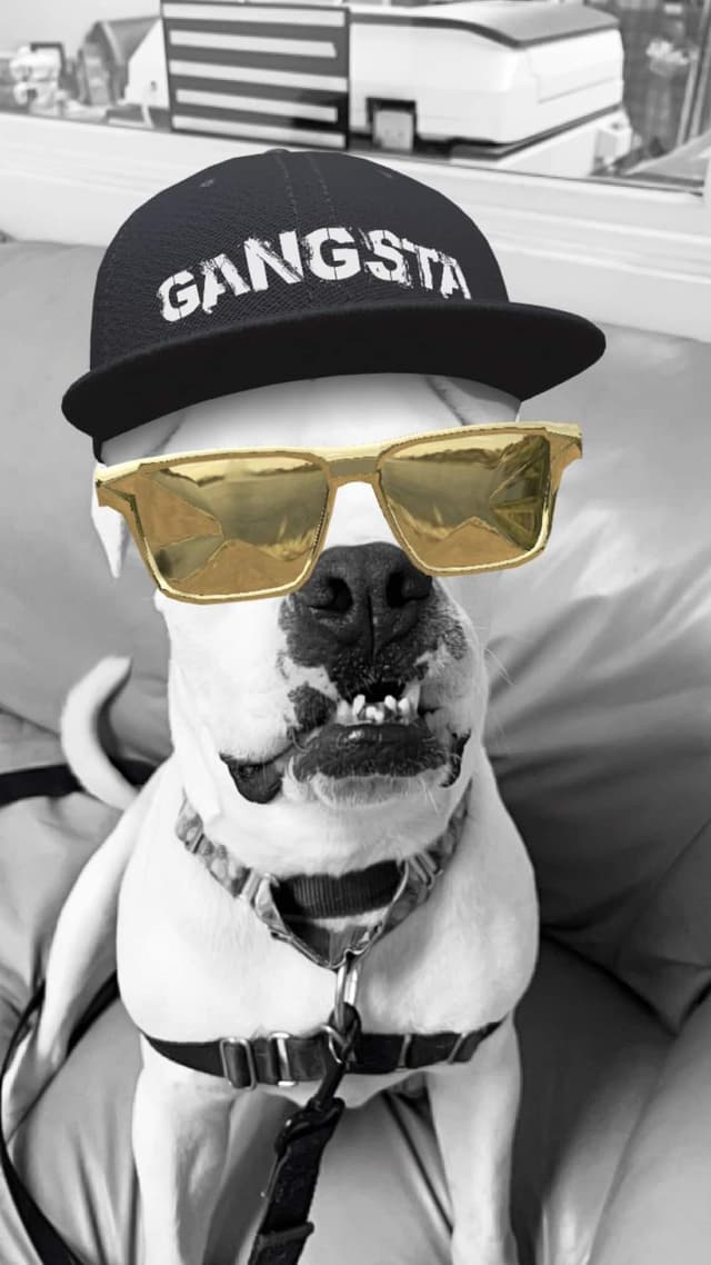 Lilo media 4