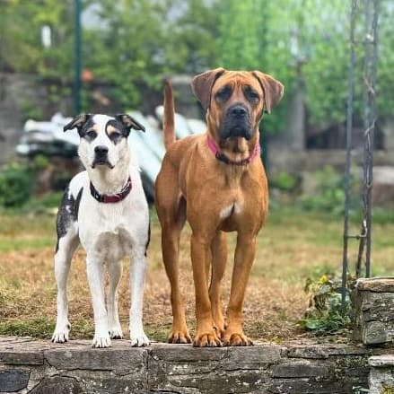 Santi media 4