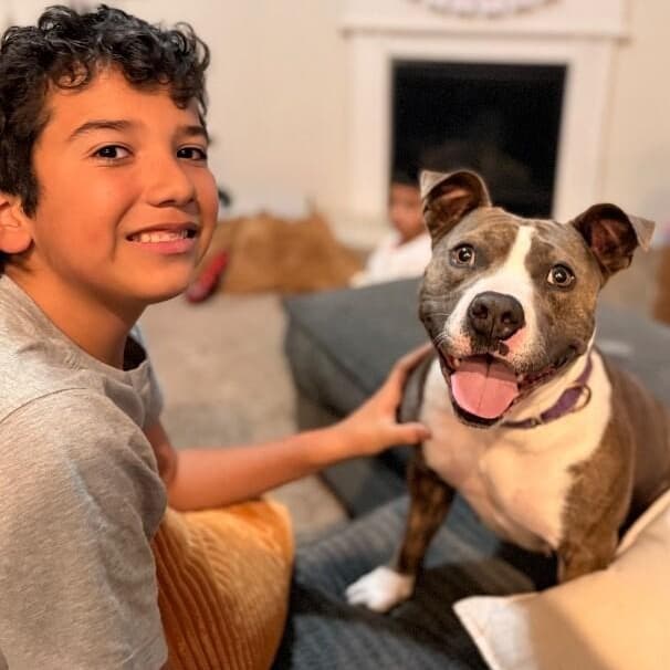 Holly The Best Family Dog media 4
