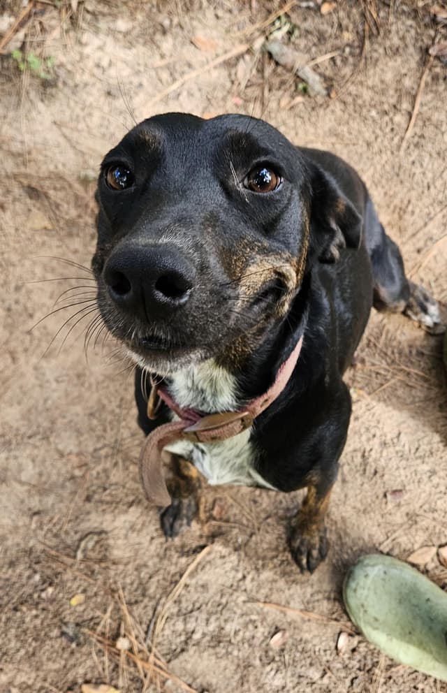 Molly - CO media 4
