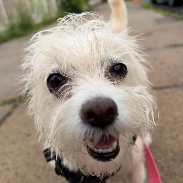 Zoey media 5