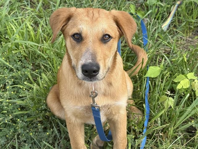 Willow - Look in these eyes and tell me you love me! media 5