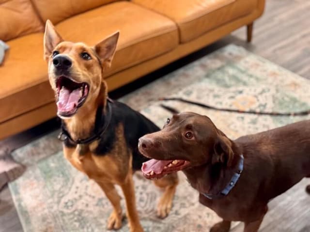 Becca Boo Loves Bigger than her EARS media 3