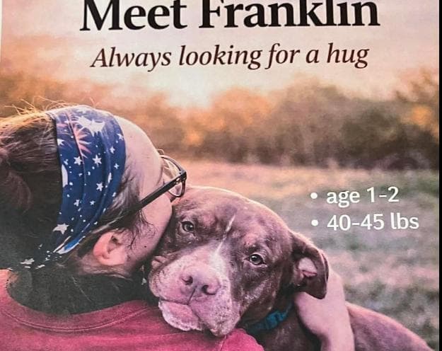 Franklin media 2