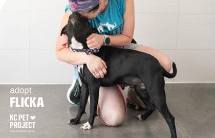 Flicka media 3