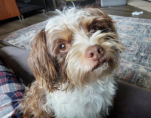 Bailey media 2