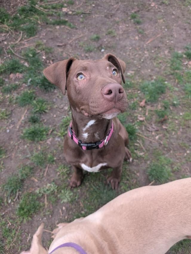 Ellie media 5
