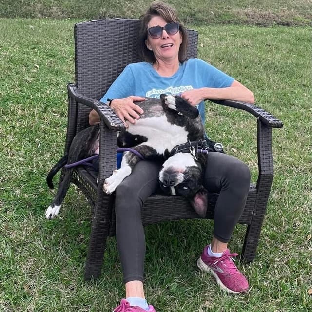 Lane Boots the Snuggly Couch Dog media 5