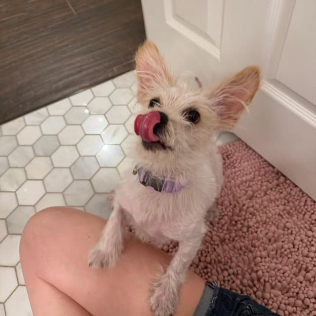 Kiki is adorkable media 2