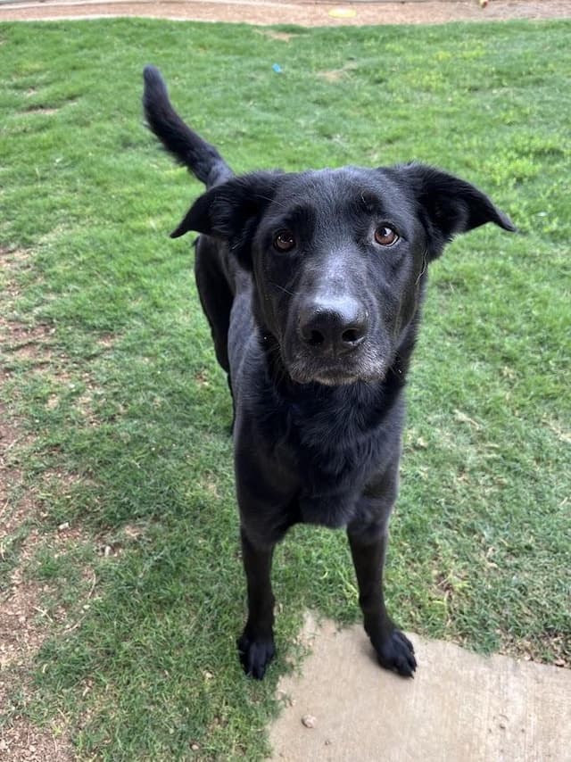 Cash* A217167 media 2