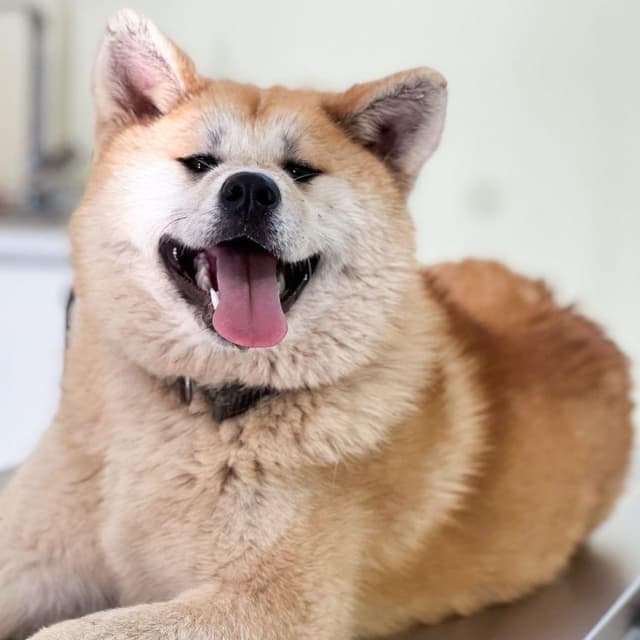 YUKI media 2