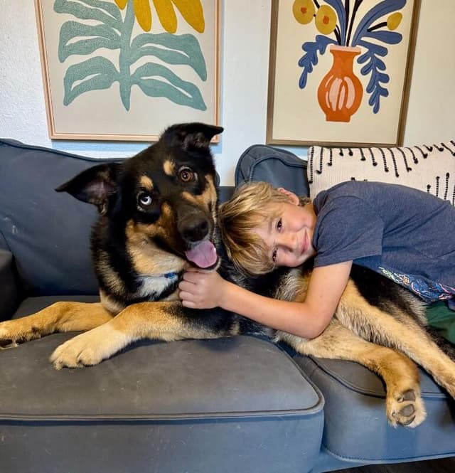 Tamera Honey The Sweetest Family Dog media 3