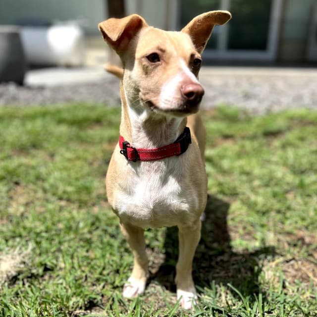 Maggie media 5