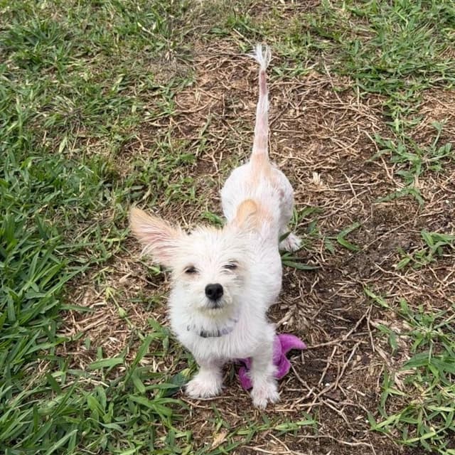 Kiki is adorkable media 4