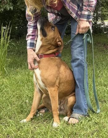 Paisley media 2