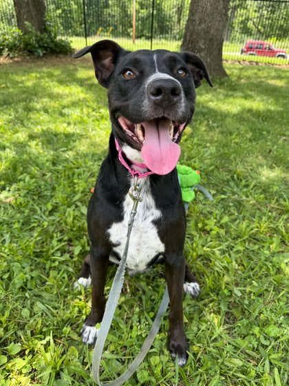 Riley media 3