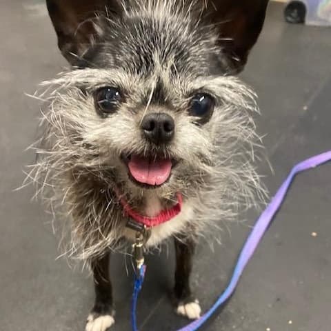 Wrigley-Bonded to Pablo media 2