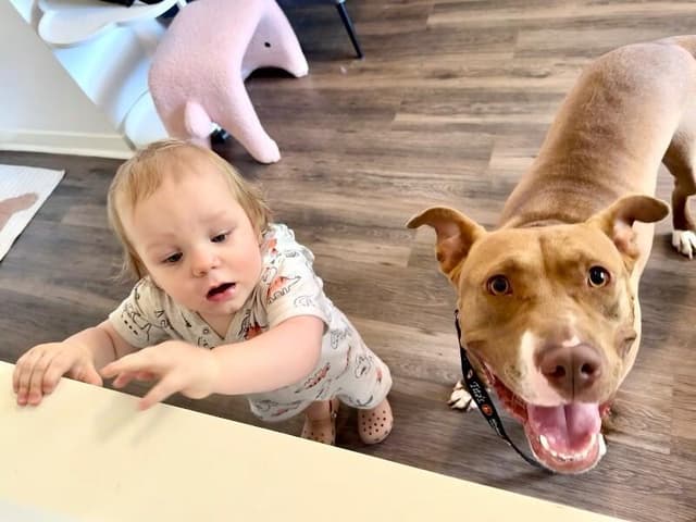 Blinky Baby loves the babies and belly rubs media 3