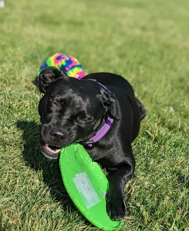 Mazie FKA Ducky media 3