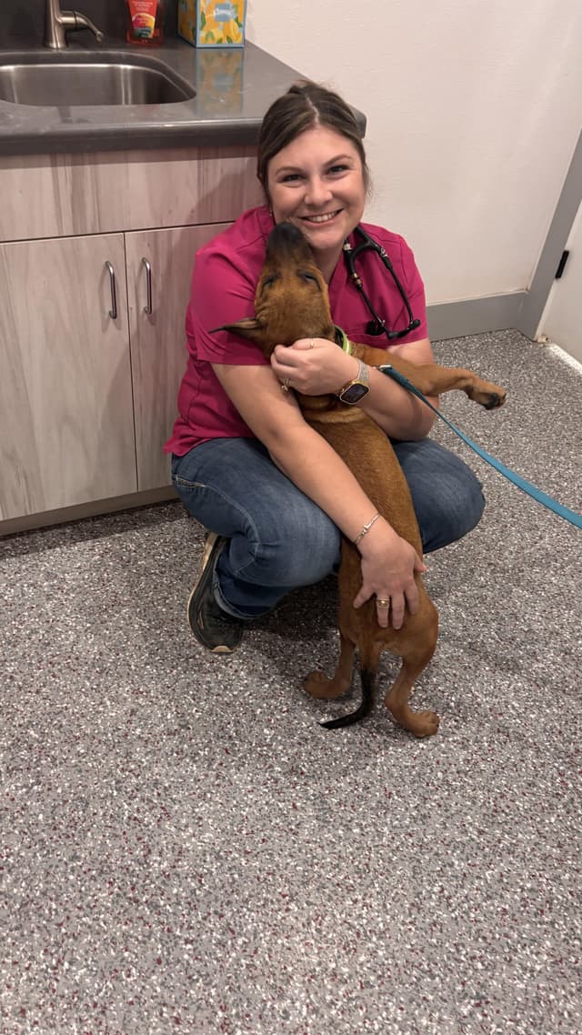FRITZ (Adorable Puppy, Great Cuddler, Loves Kids and All People, Sweet, Loving, Kisses Available) media 3
