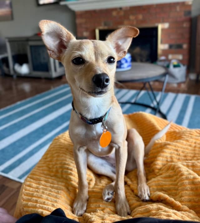 Rosita aka Rosie media 3
