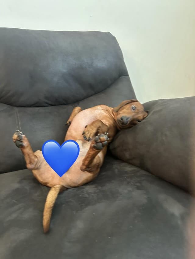 Rusty media 2