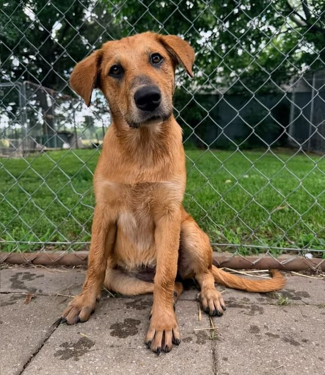 Willow - Look in these eyes and tell me you love me! media 6