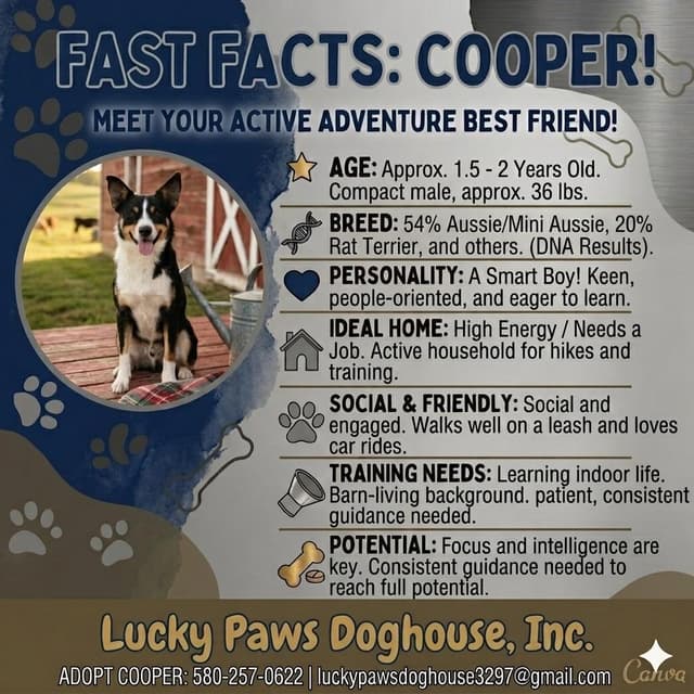 Cooper media 2