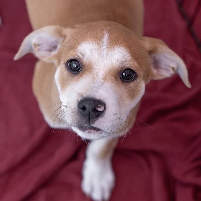 Emmy Pup - Tatiana media 2