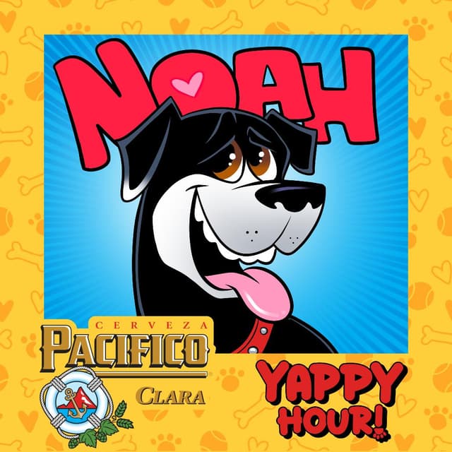 Noah media 2