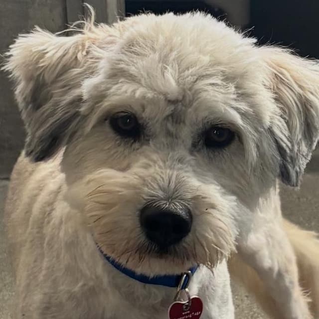 Camden A2278832 media 2