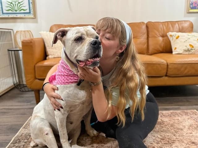Delilah the sweetest old soul media 4