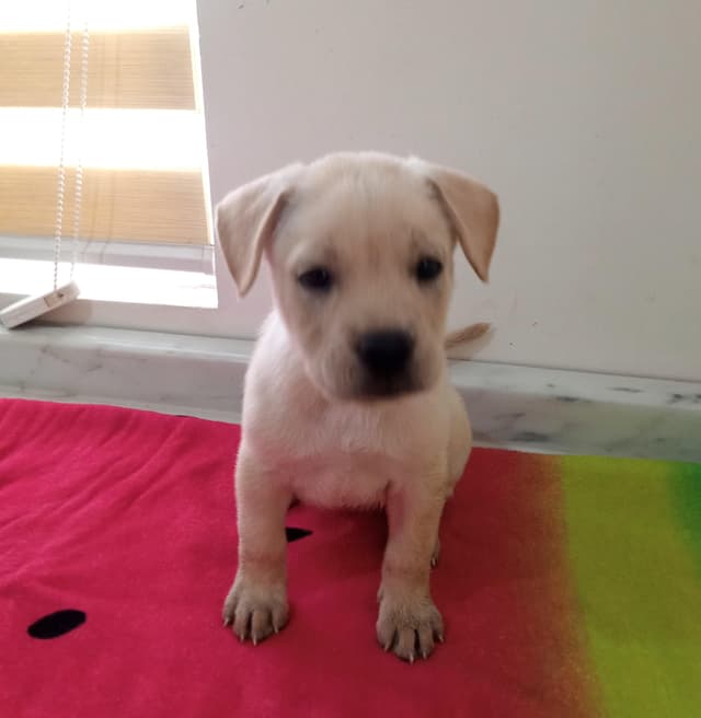 Coco (23) media 2