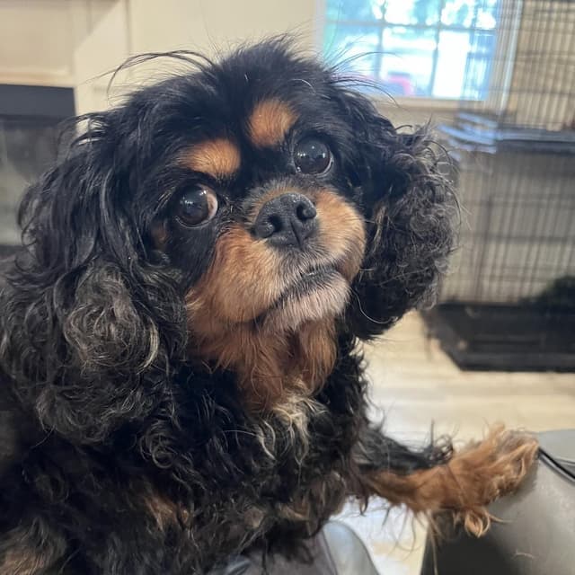 Stormy media 2