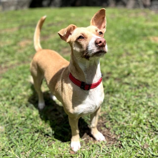 Maggie media 6