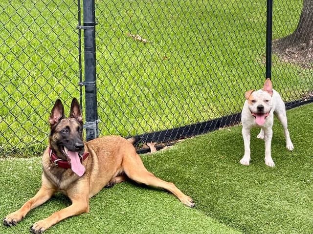 Zuko Zooms of Love media 2