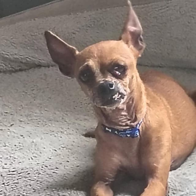 Snookie 26-05-188 media 5