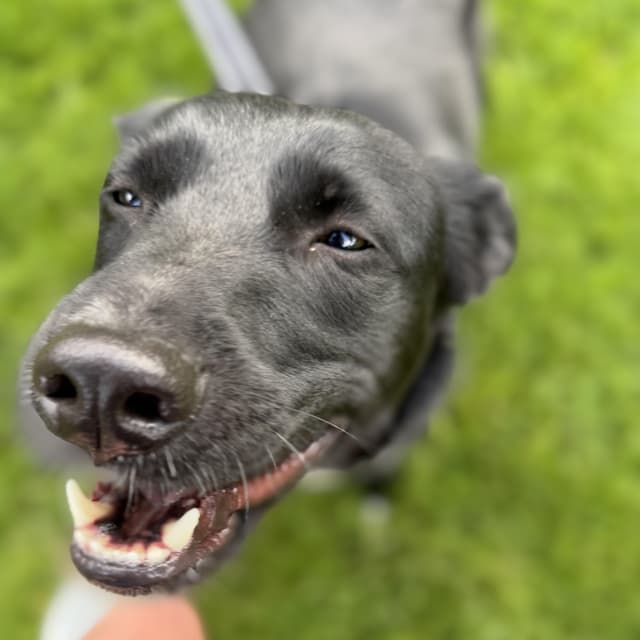 Ellie media 5