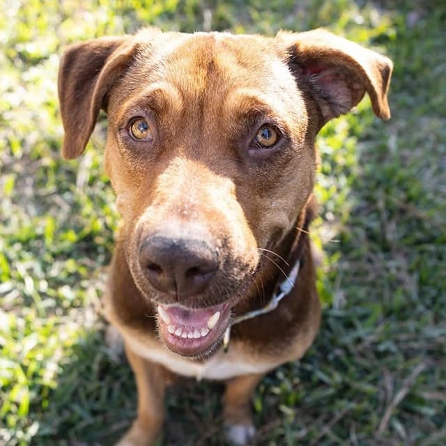Luna Mae media 2