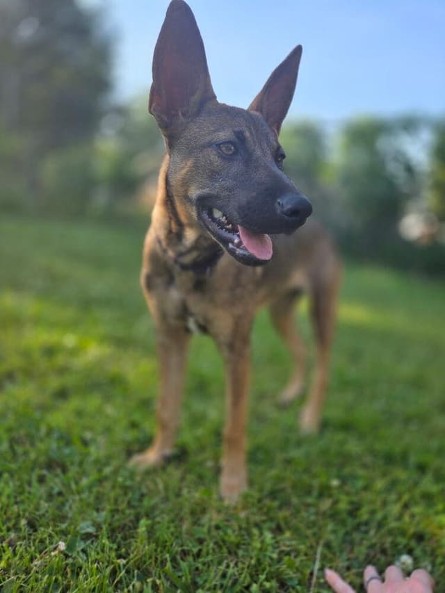 Josie FKA Rosie - Located in NJ media 3