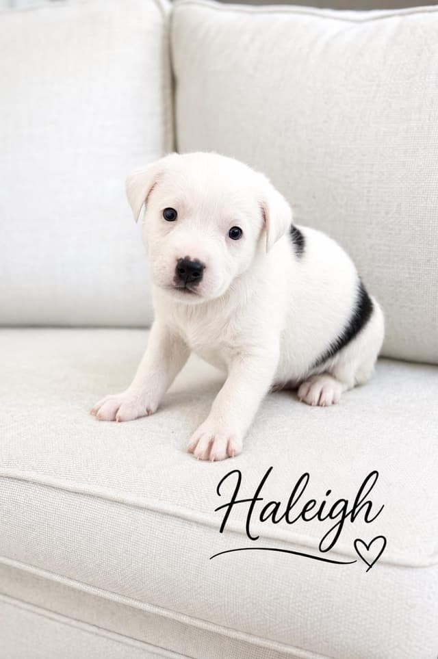 Haleigh media 3