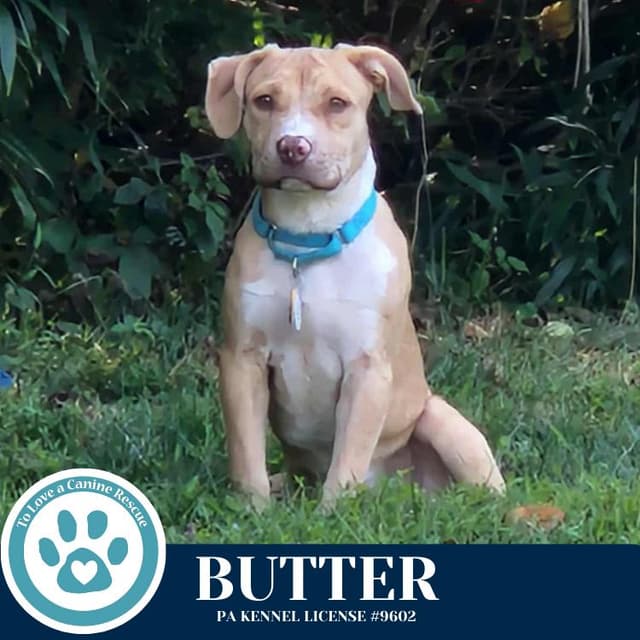 Butter (The Baking Bunch) 080925 media 4