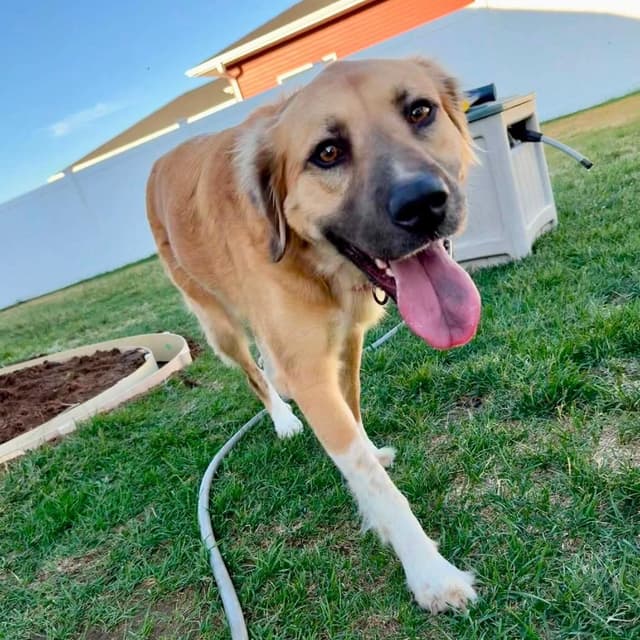 Belle (Bellisima) media 6