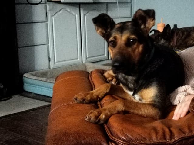 Dutchess - NY media 5
