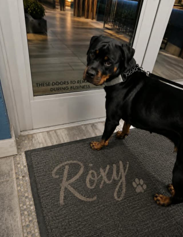 ROXY Rottweiler media 4