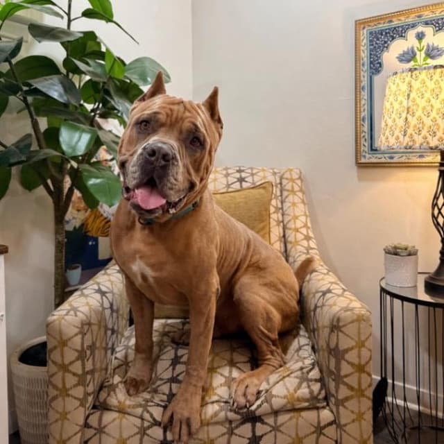 Rodney Roo has Heart Eyes for You media 2