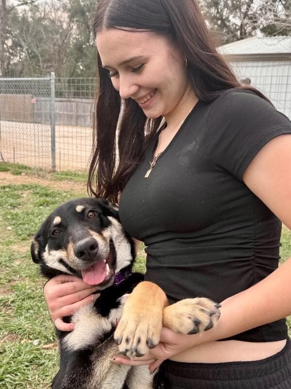 Lentil Lou The Loving Little Shepherd media 3