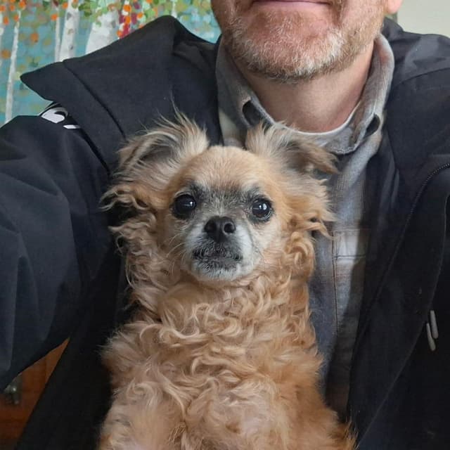 Benji D67949 media 6